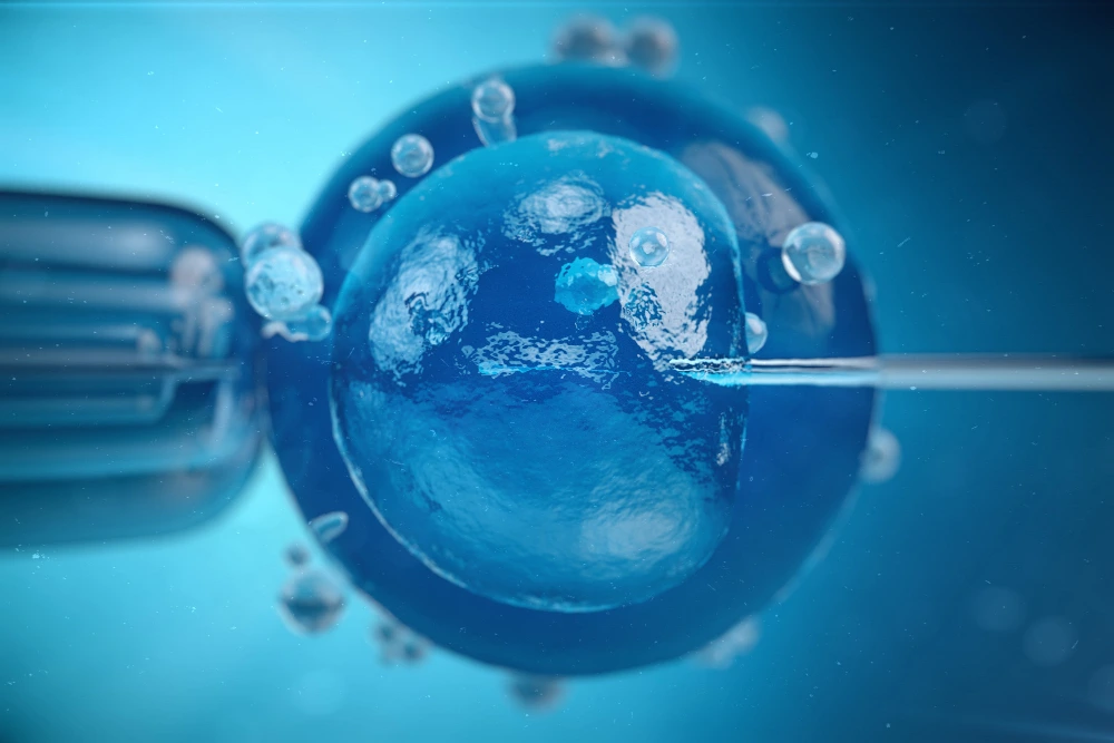 You + Science = Possibility: What Modern Embryology Can Do Today