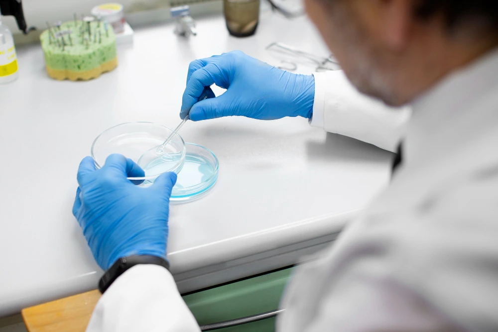 Embryology Lab Lingo, Decoded