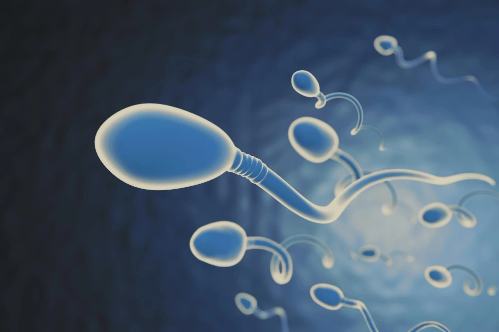 Sperm Retrieval Methods